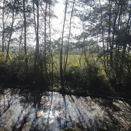 En Plein Nature Pres D'europa Park * Boofzheim