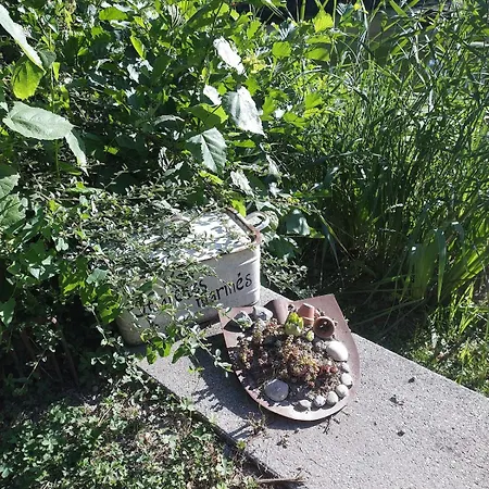 En Plein Nature Pres D'europa Park 公寓 *