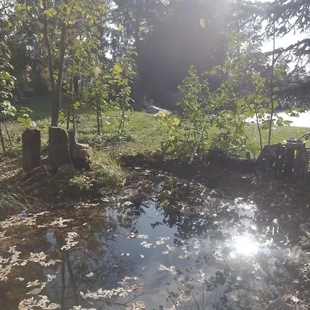 En Plein Nature Pres D'europa Park 公寓