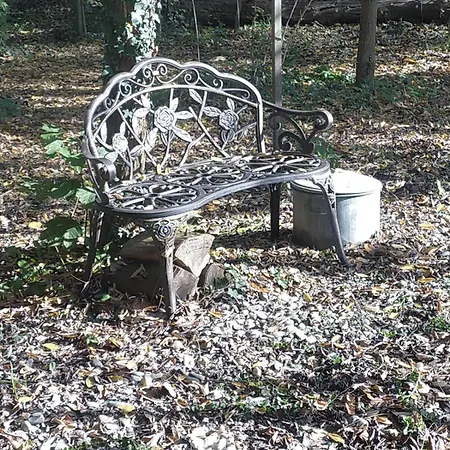 En Plein Nature Pres D'europa Park Boofzheim