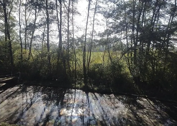 En Plein Nature Pres D'europa Park * Boofzheim