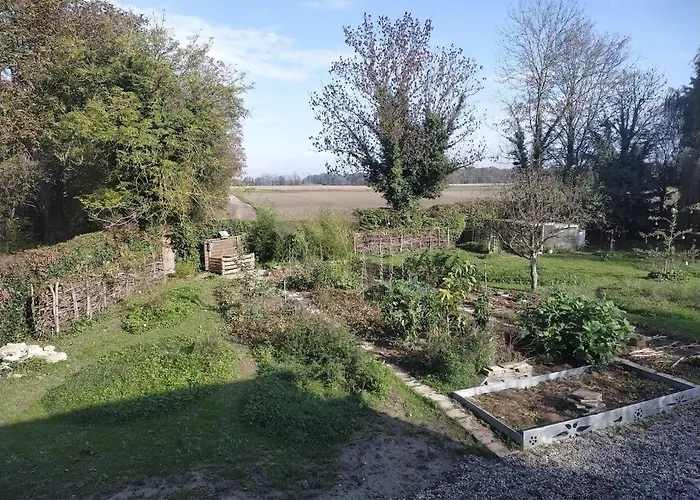 Apartment En Plein Nature Pres D'europa Park