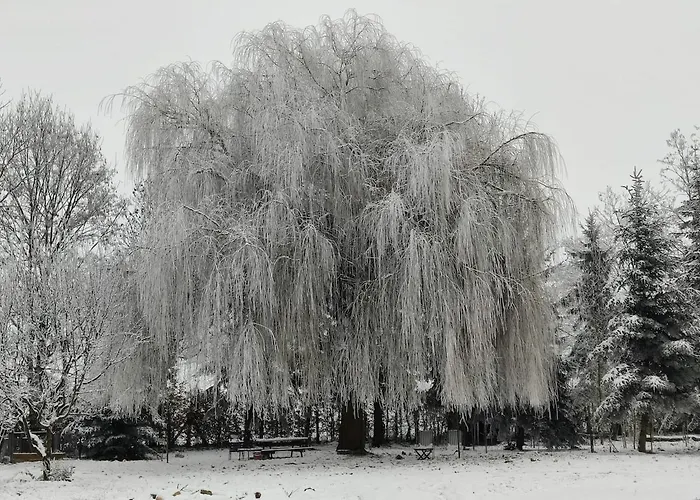 En Plein Nature Pres D'europa Park Apartment