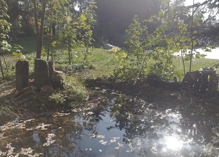 En Plein Nature Pres D'europa Park Apartment