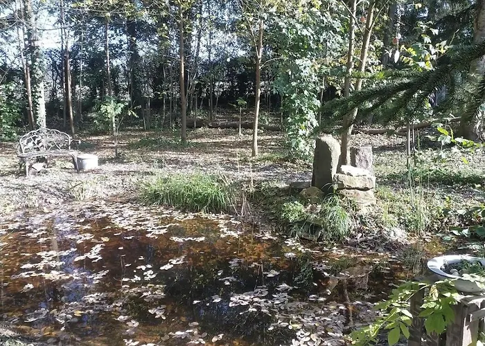 En Plein Nature Pres D'europa Park Apartment Boofzheim