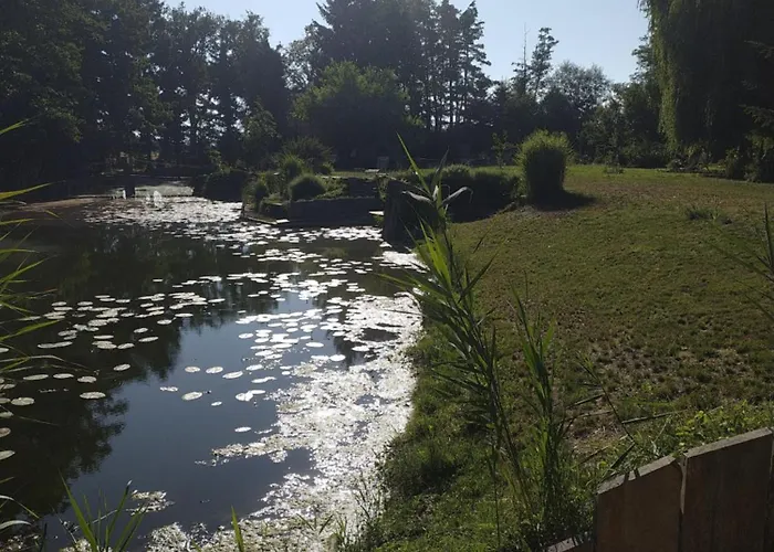 En Plein Nature Pres D'europa Park Apartment *